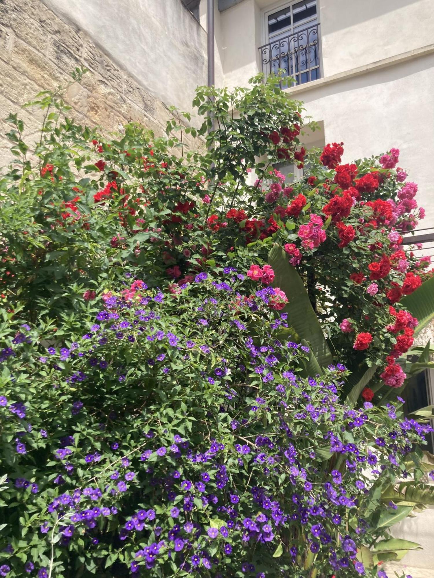 La Maison Des Augustins 4 Stars Spa Et Fitness Avignon Szoba fotó
