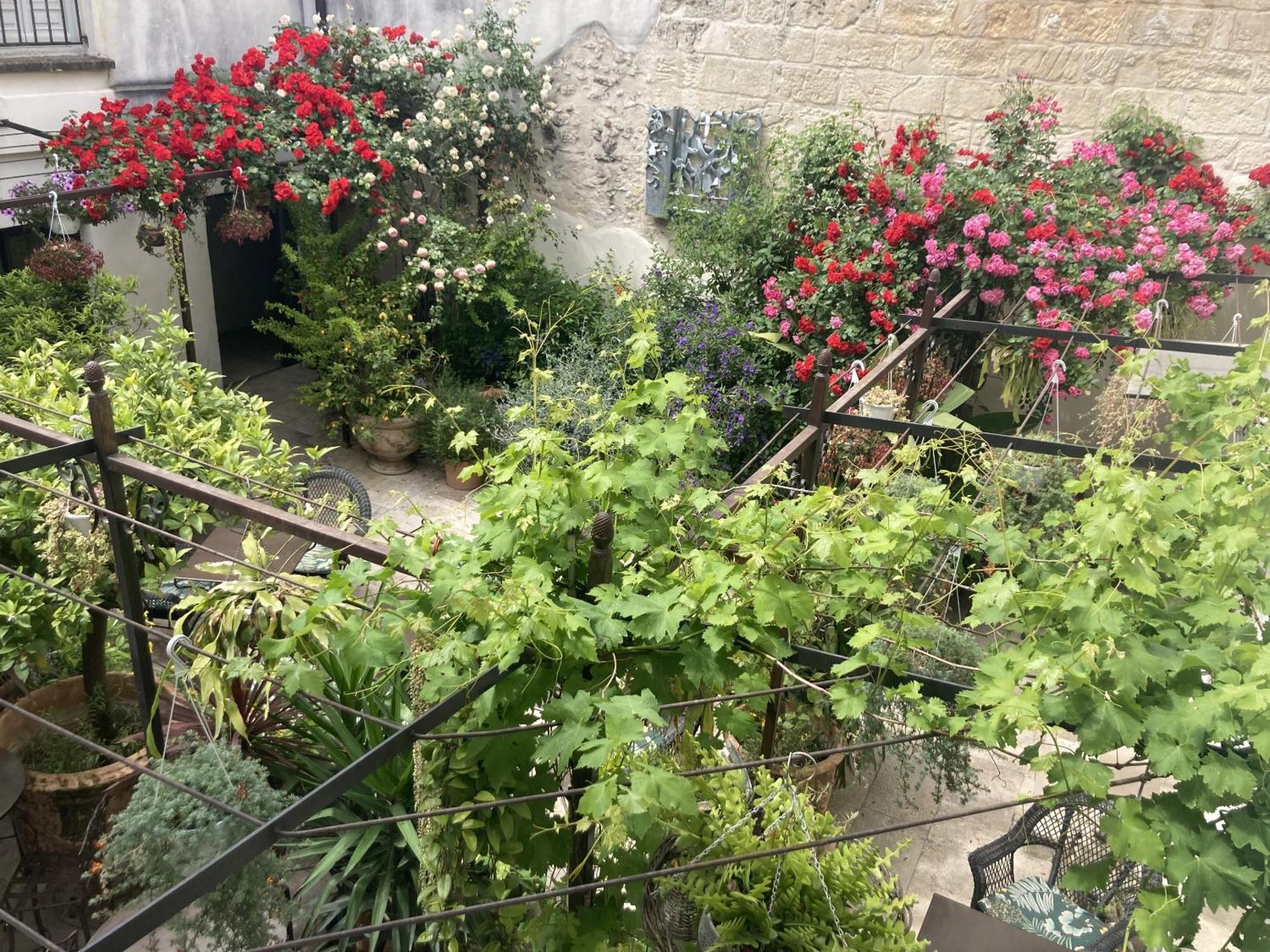 La Maison Des Augustins 4 Stars Spa Et Fitness Avignon Szoba fotó