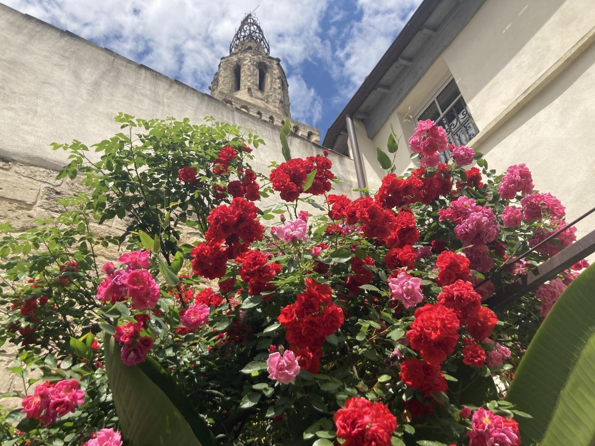 La Maison Des Augustins 4 Stars Spa Et Fitness Avignon Kültér fotó